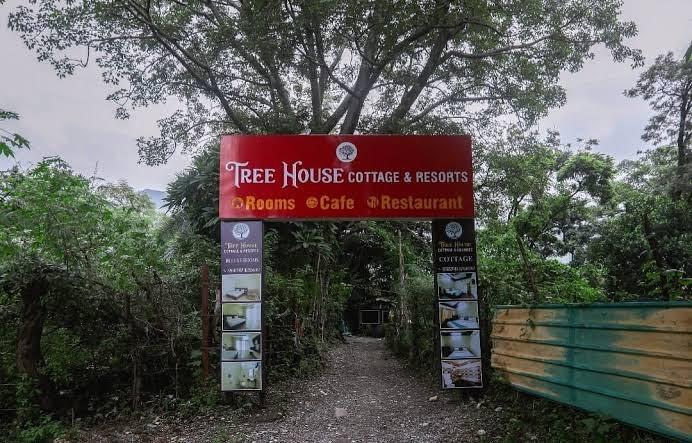 Tree House Cottage – photo 1