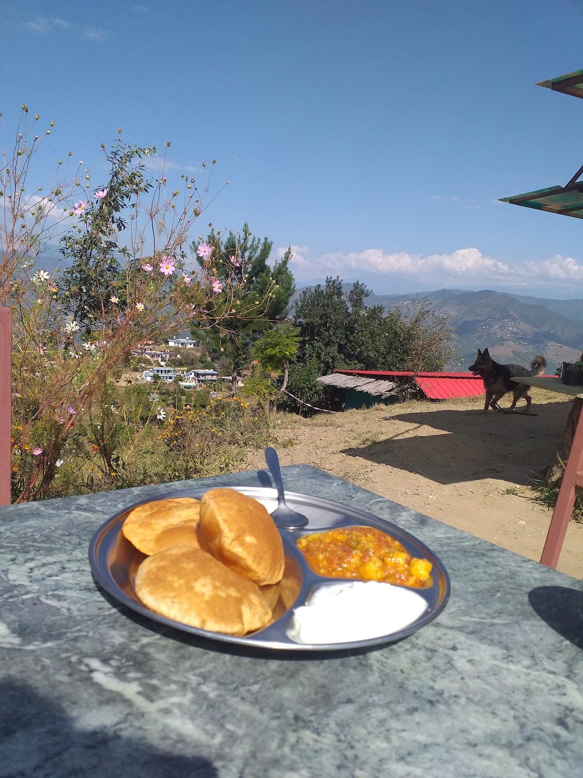 Traveller Hive Kasar Devi – photo 4