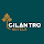 Planter's Heritage By Cilantro Collection – photo 2