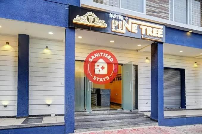 Super Townhouse Pine Tree – photo 4