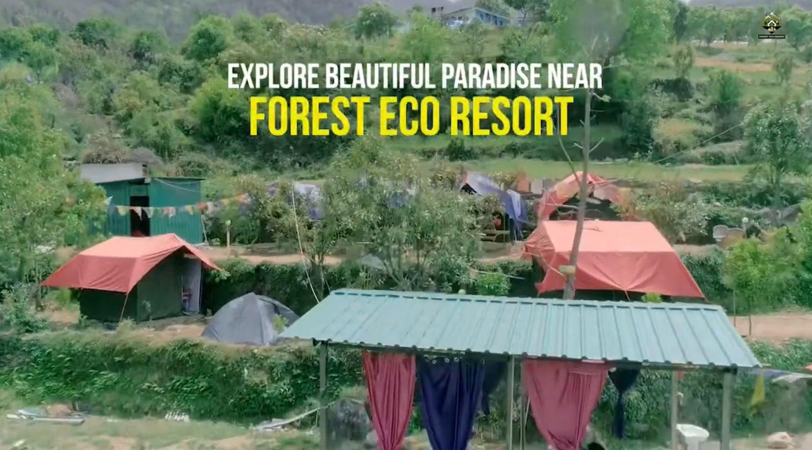 Forest Eco Resort – photo 1