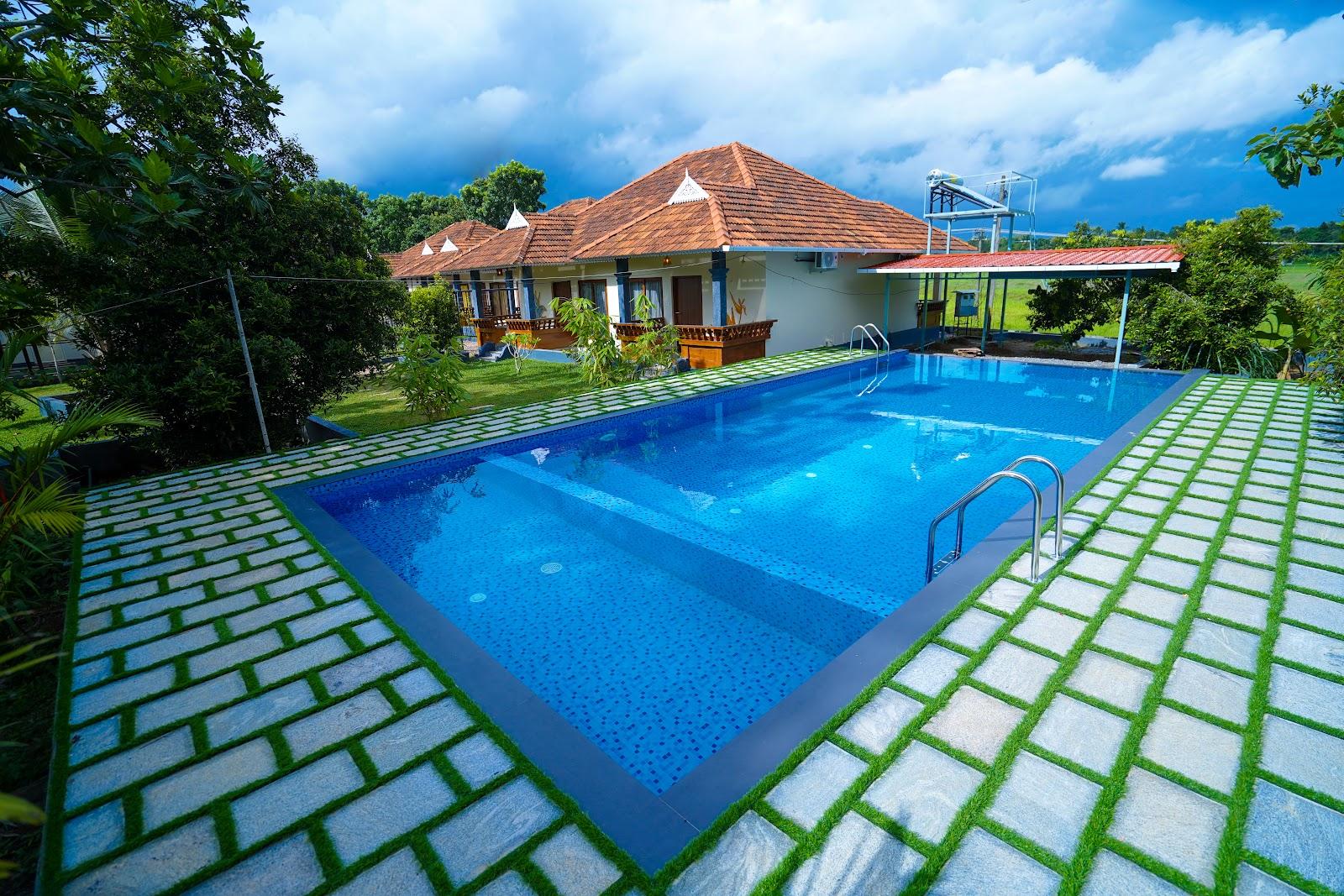 Wayanad Palmgrove Retreat – photo 2