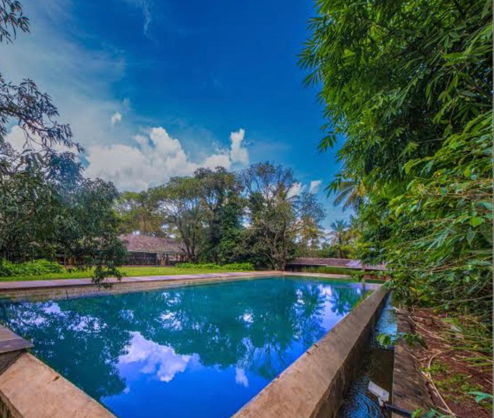 The Orchard Resort – photo 4