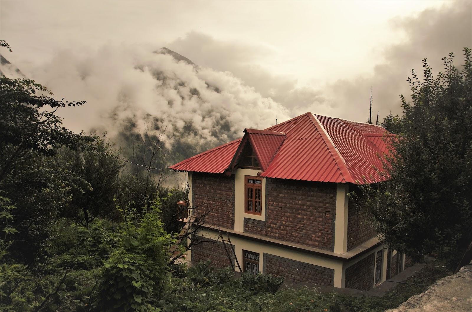Back 2 Nature Homestay – photo 4