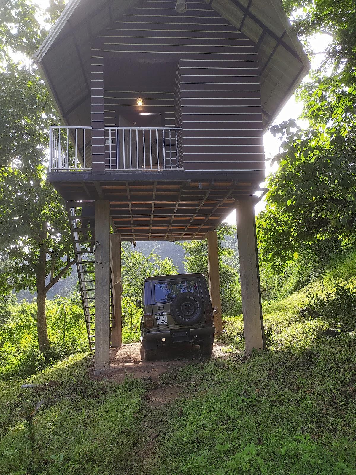 Jungle Zone Resorts