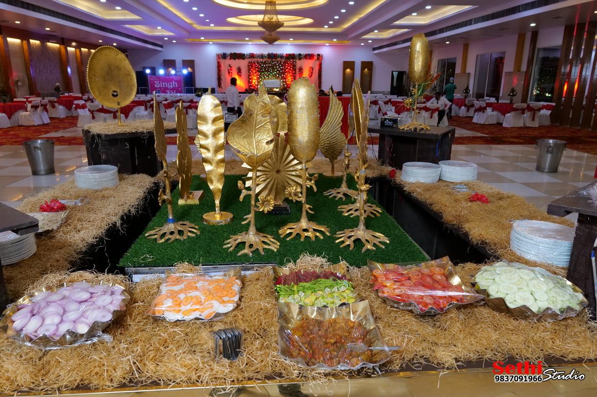 Maharaja Hotel & Restaurant ( PALACE ) – photo 3