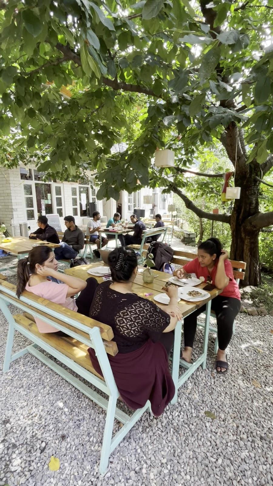 Zostel Old Manali – photo 2