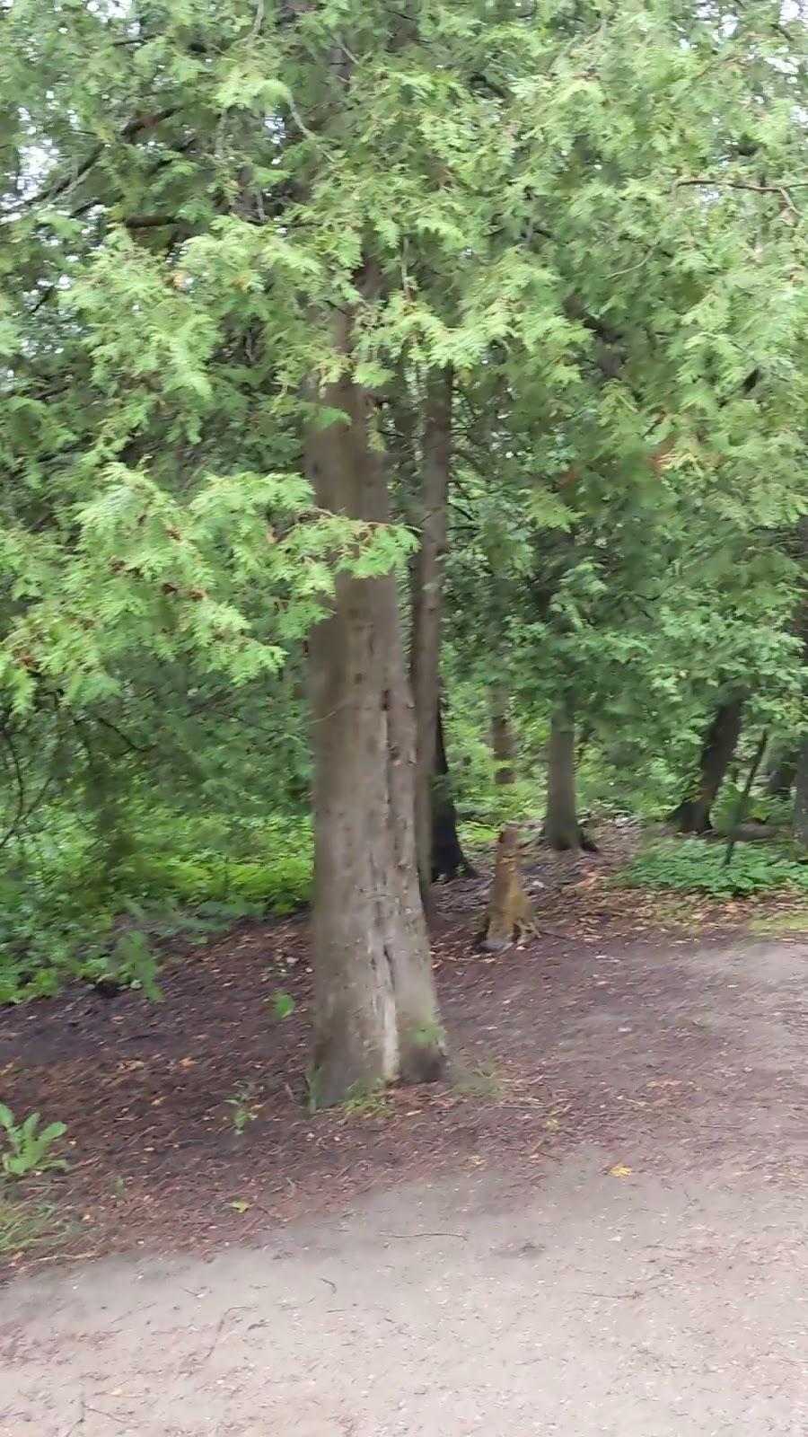 Cyprus Lake Campground – photo 1
