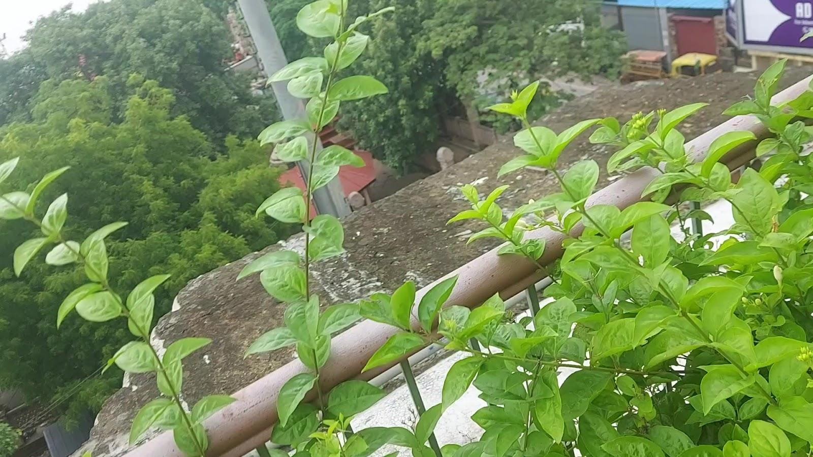 Sahi River View Guest House – photo 2