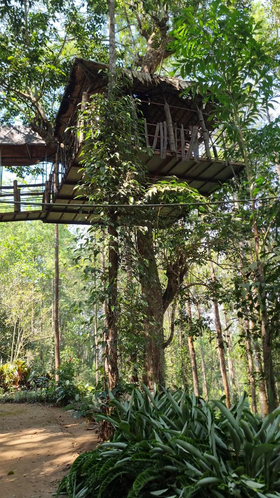 Jungle Jive Tree House – photo 2