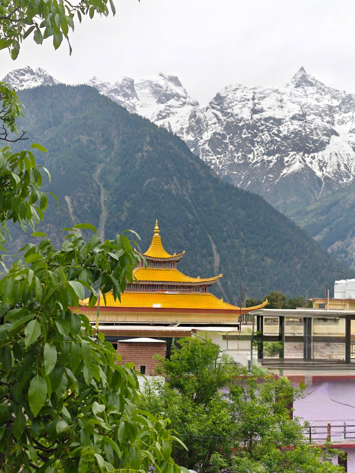 Whistling Pines Homestay ( mountain facing rooms )
