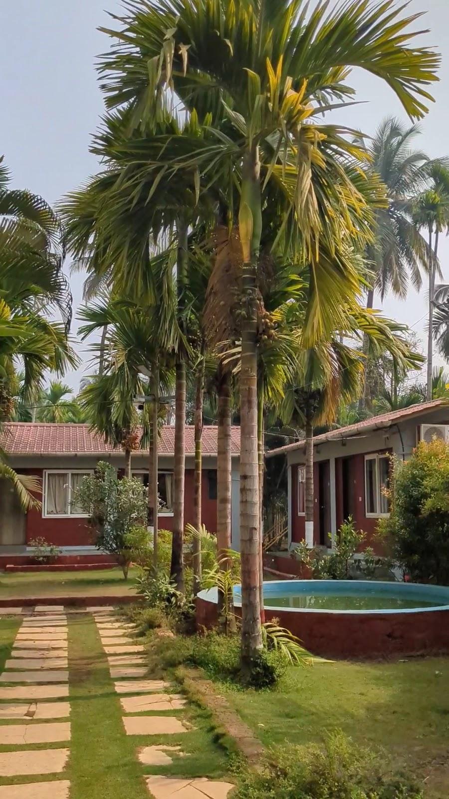Lotus Holiday Resort – photo 2