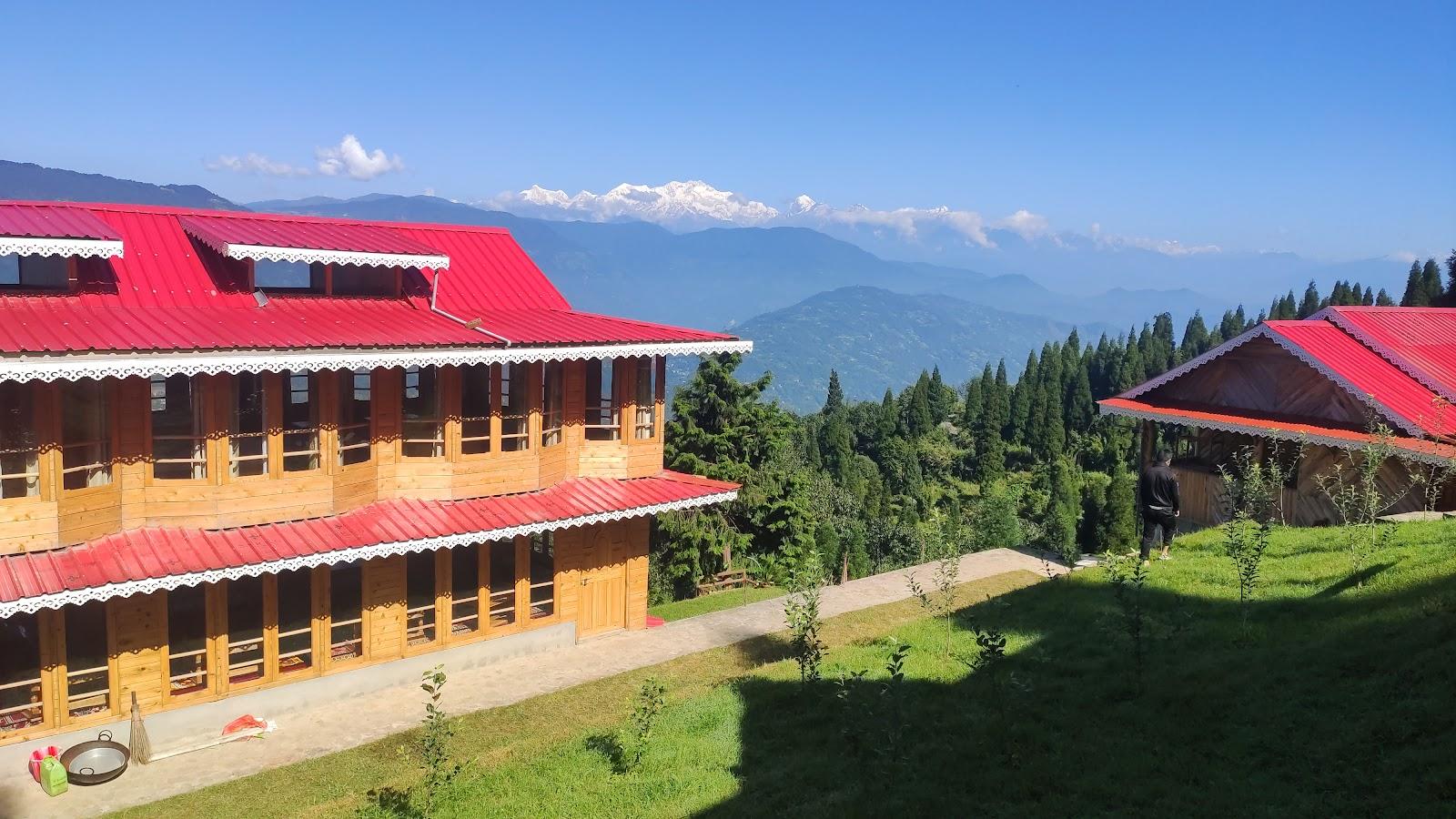 Little Forest Homestay – photo 1