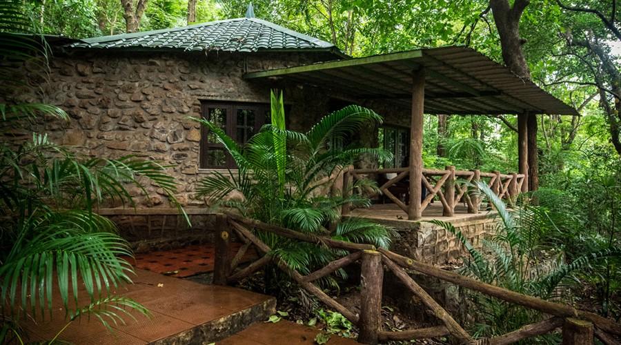 Hornbill River Resort – photo 1