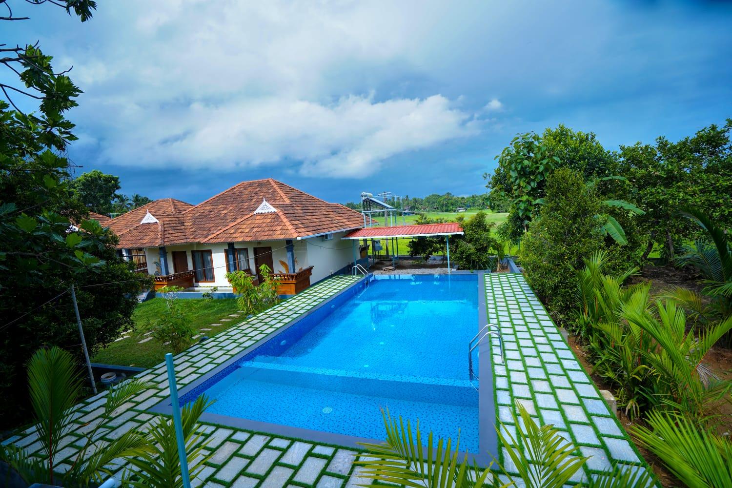 Wayanad Palmgrove Retreat – photo 1