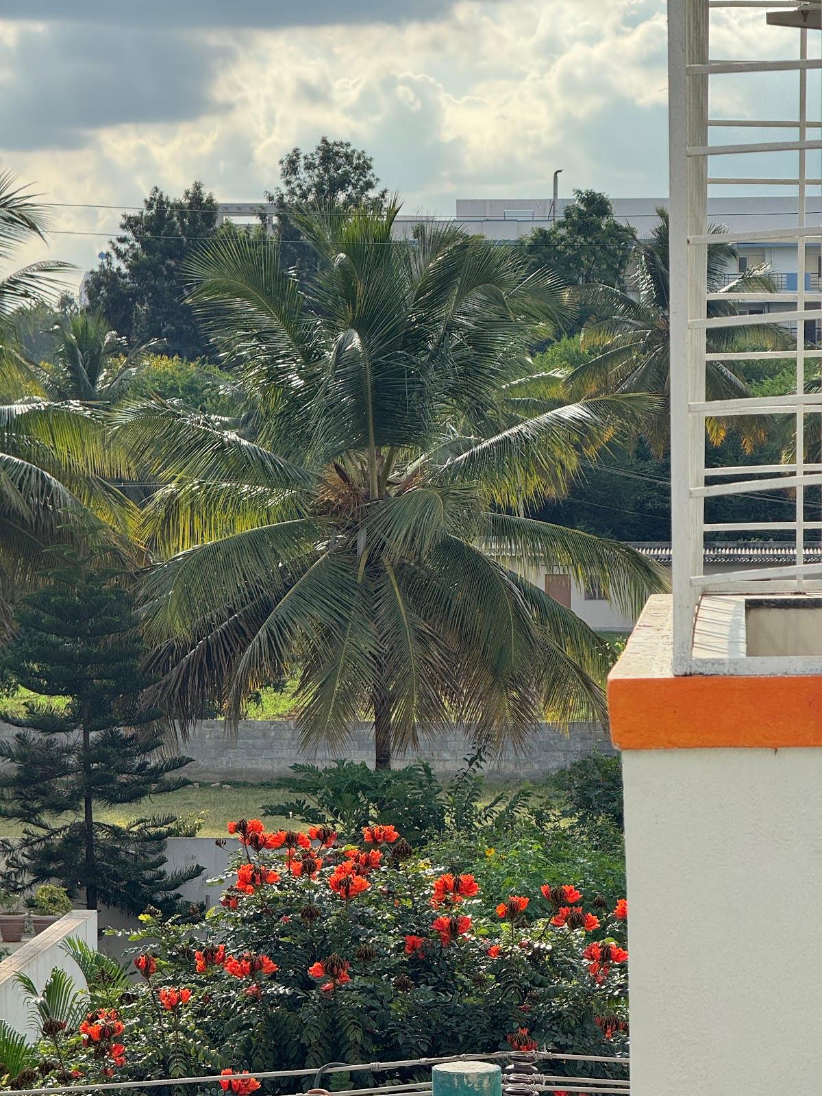 Wandr Hotel Brookefield, Bangalore