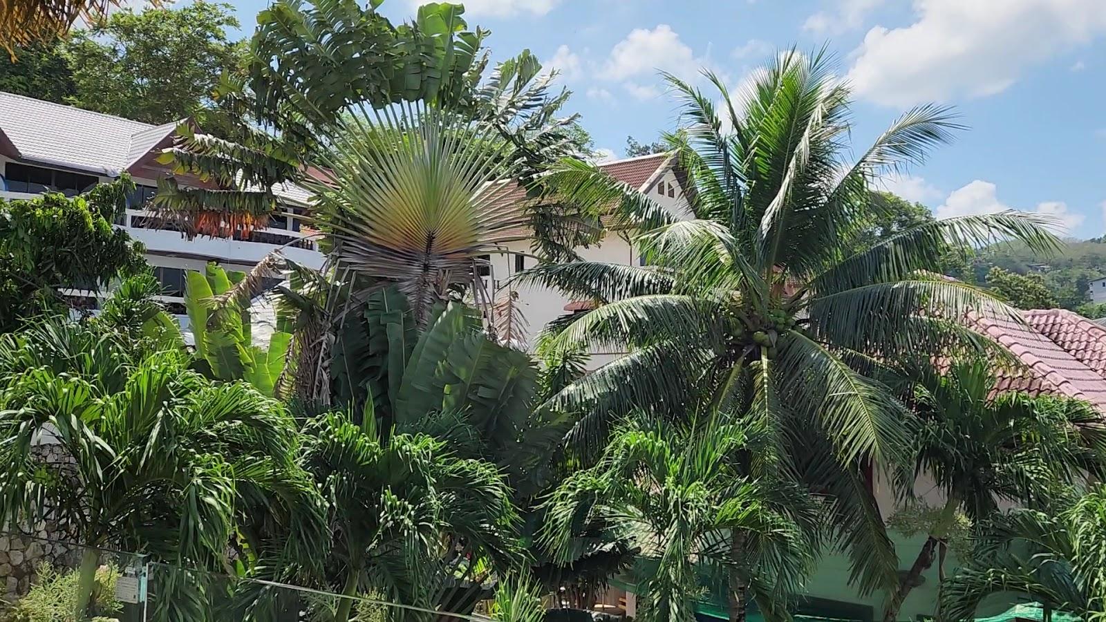 Three Monkeys Villas – photo 2