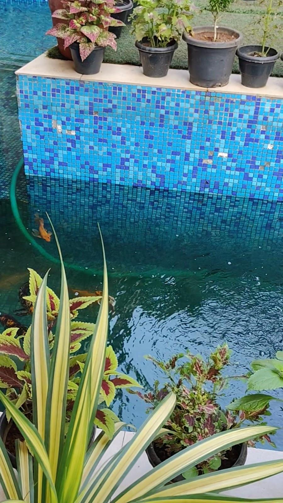 Jyothis Residency – photo 4