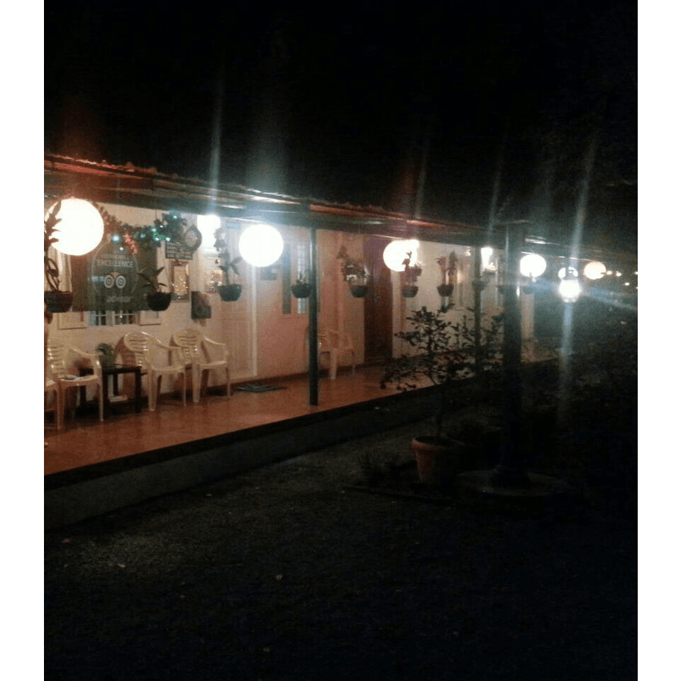 Palm Grove Serviced Villa – photo 3