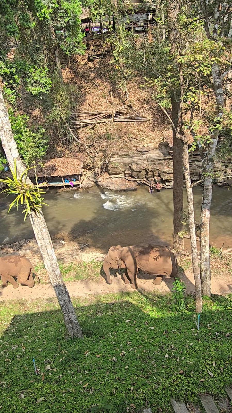Tawan Riverside - Elephant Resort – photo 2