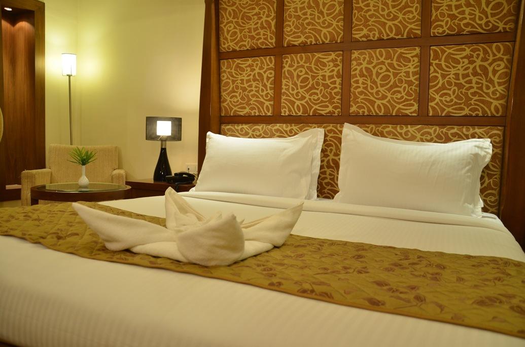 Cambay Sapphire Gandhinagar – photo 3