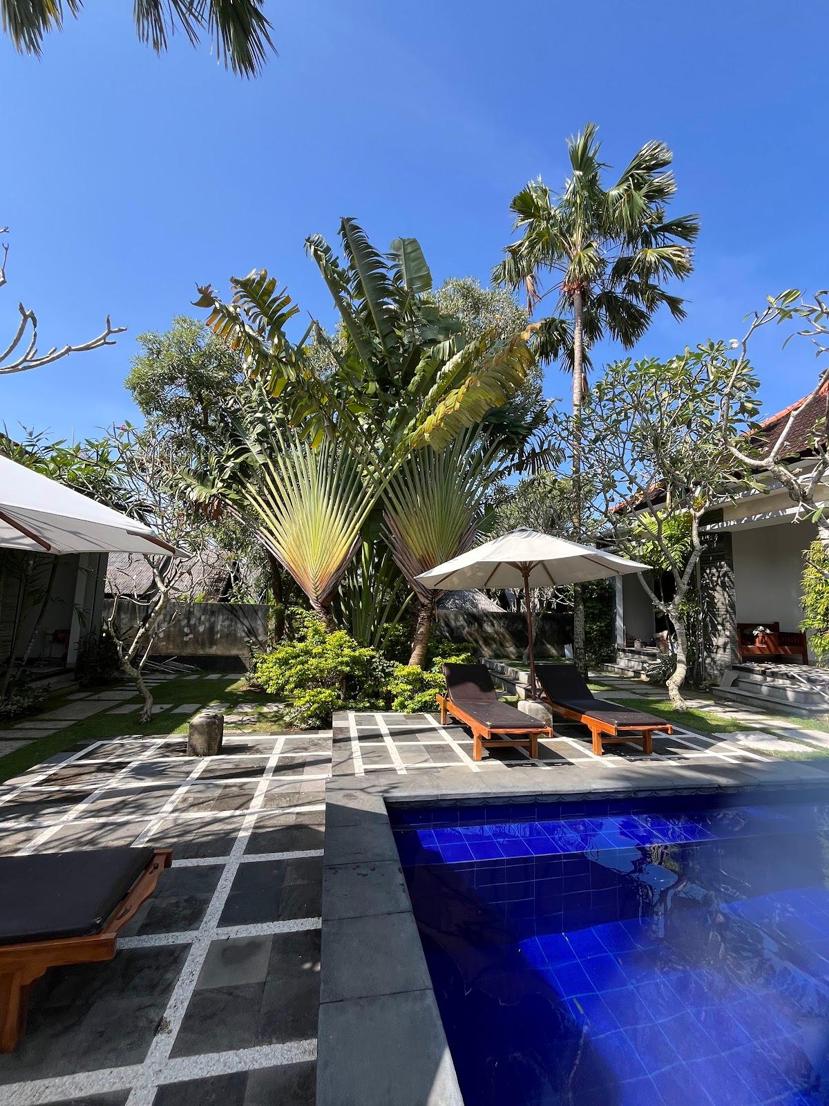 D'padang – photo 4