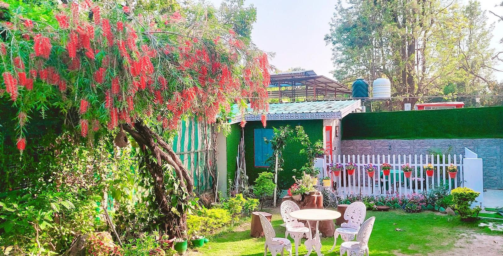 Olive Greens Homestay – photo 1