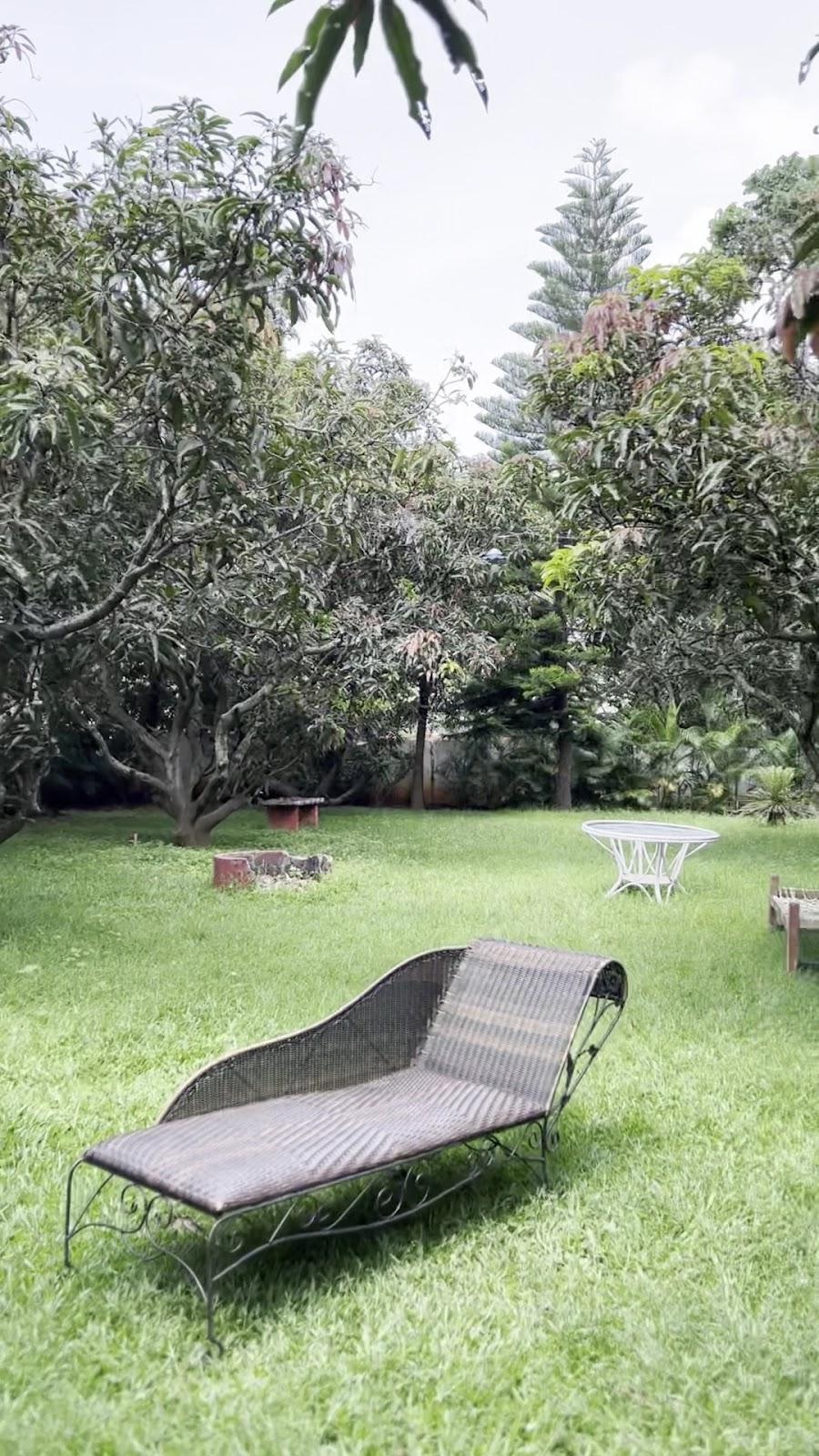Under The mango Trees – photo 2