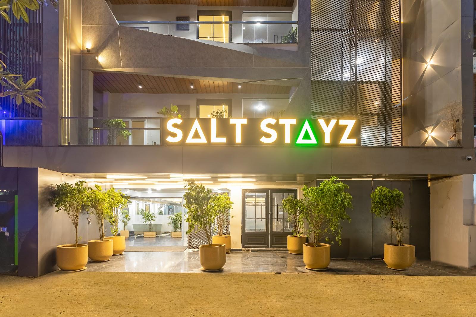 Saltstayz Premier - Paschim Vihar – photo 1