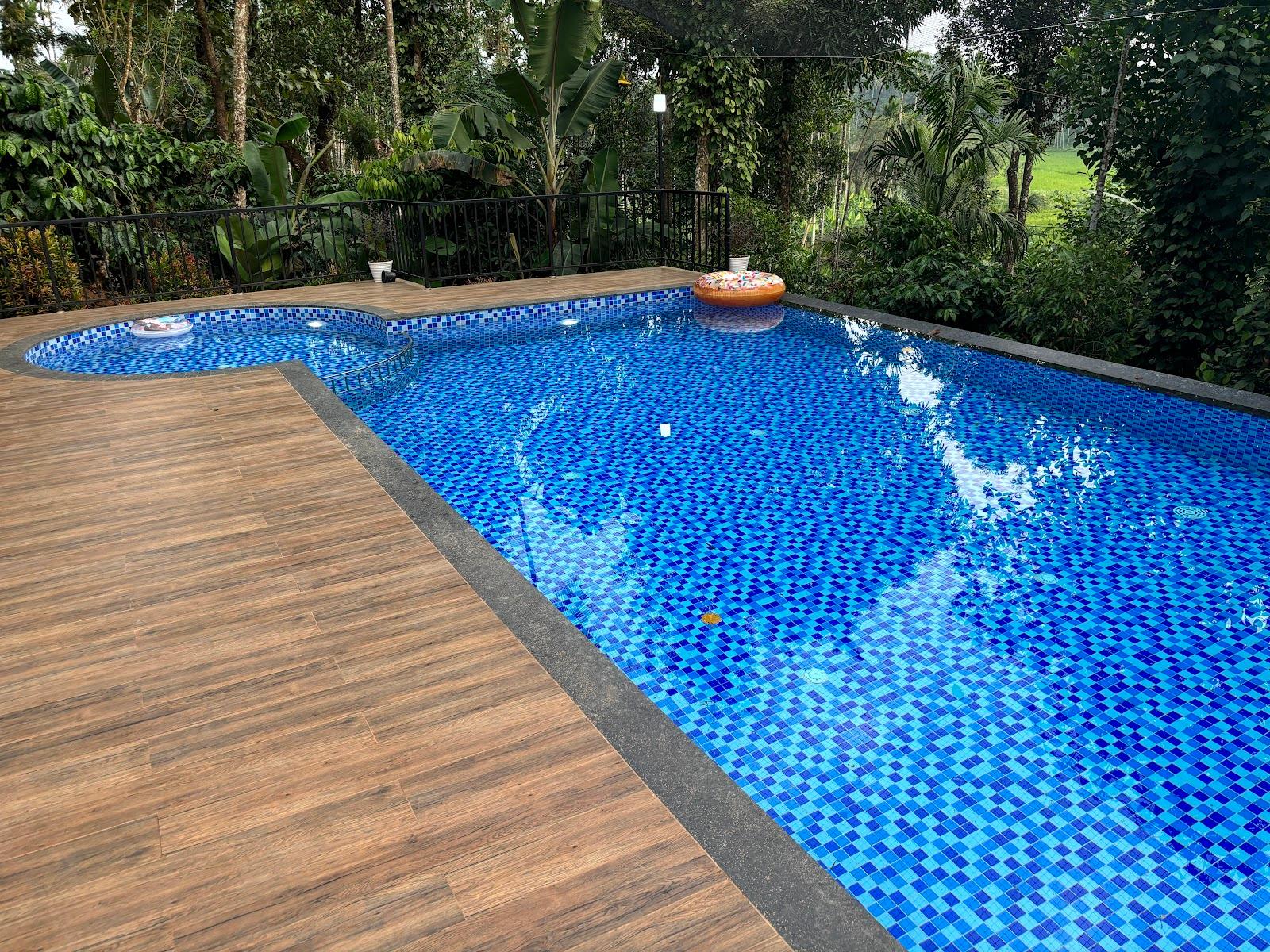 wayanad vista palm view villas – photo 3