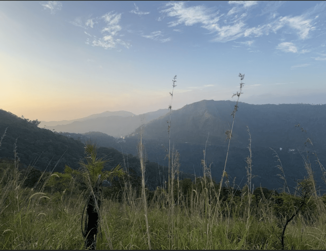 Planters Cabin Kuttikkanam – photo 1