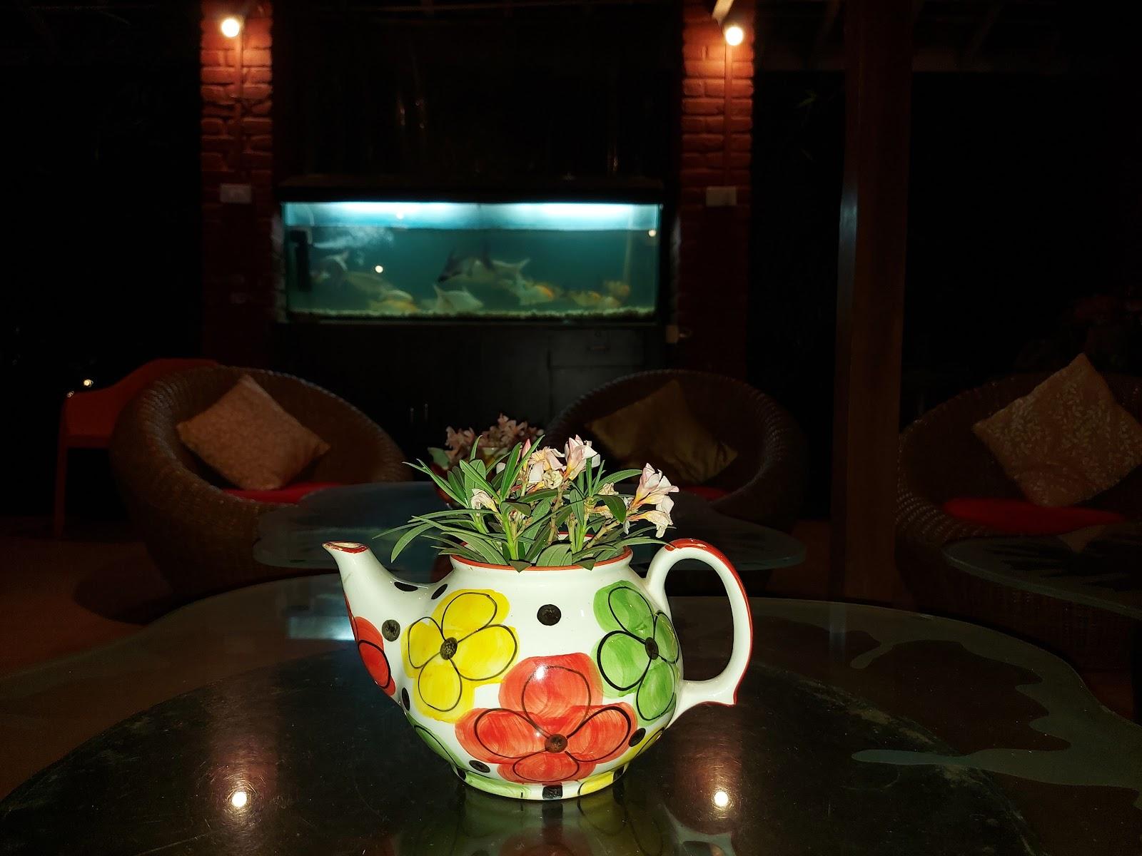 Sidz Cottage – photo 3