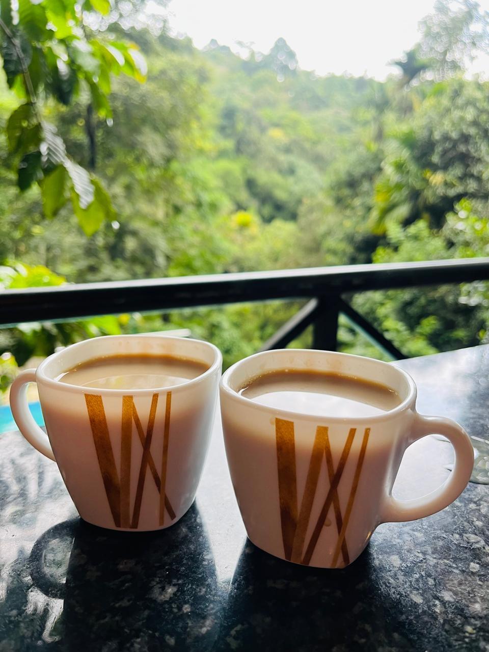 Lux Le Mount Resort Thalimala Wayanad