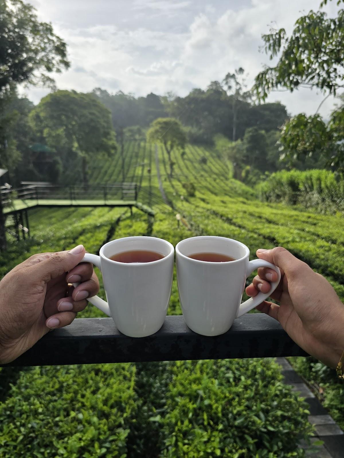 Dream Catcher Plantation Resort – photo 4