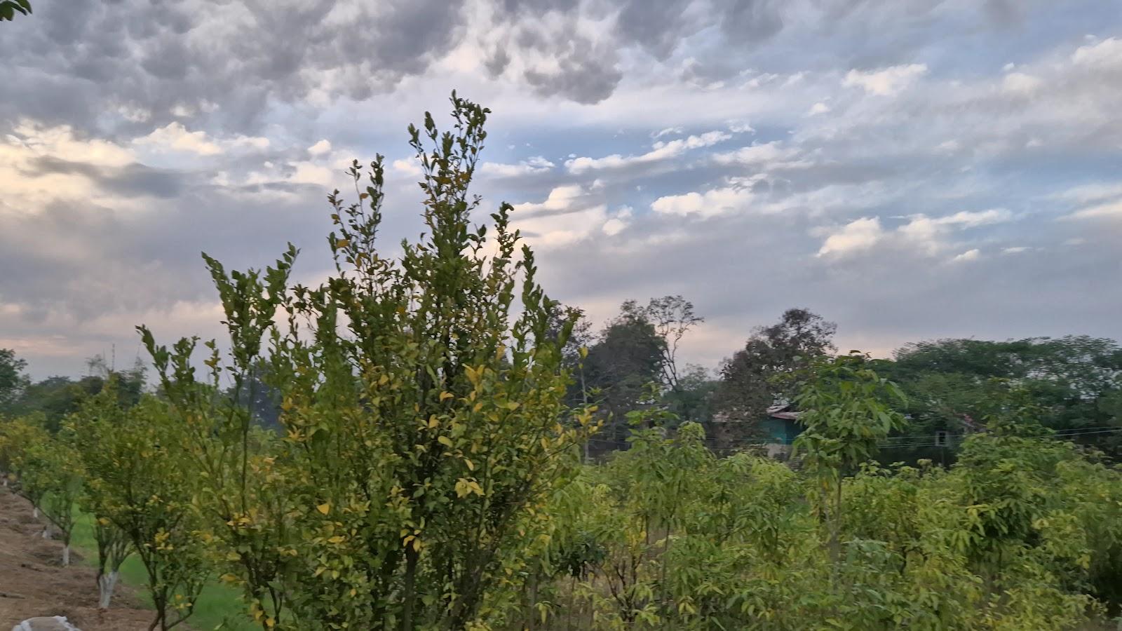 Pachmarhi Ecotel Resort by Vanyum – photo 2