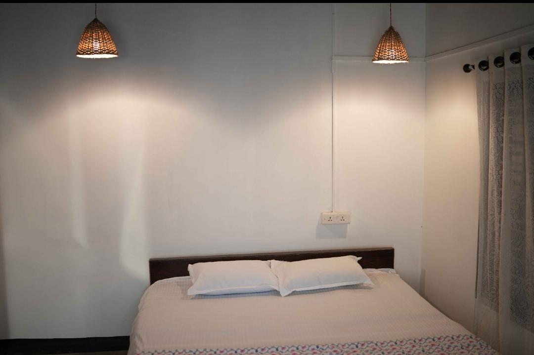 Zebra Hostels – photo 2