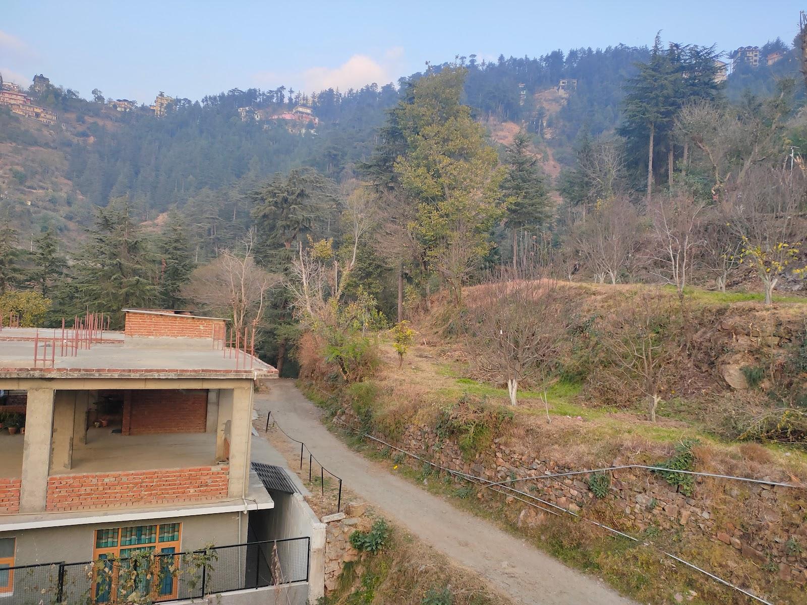 Sejal Homestay Shimla – photo 4