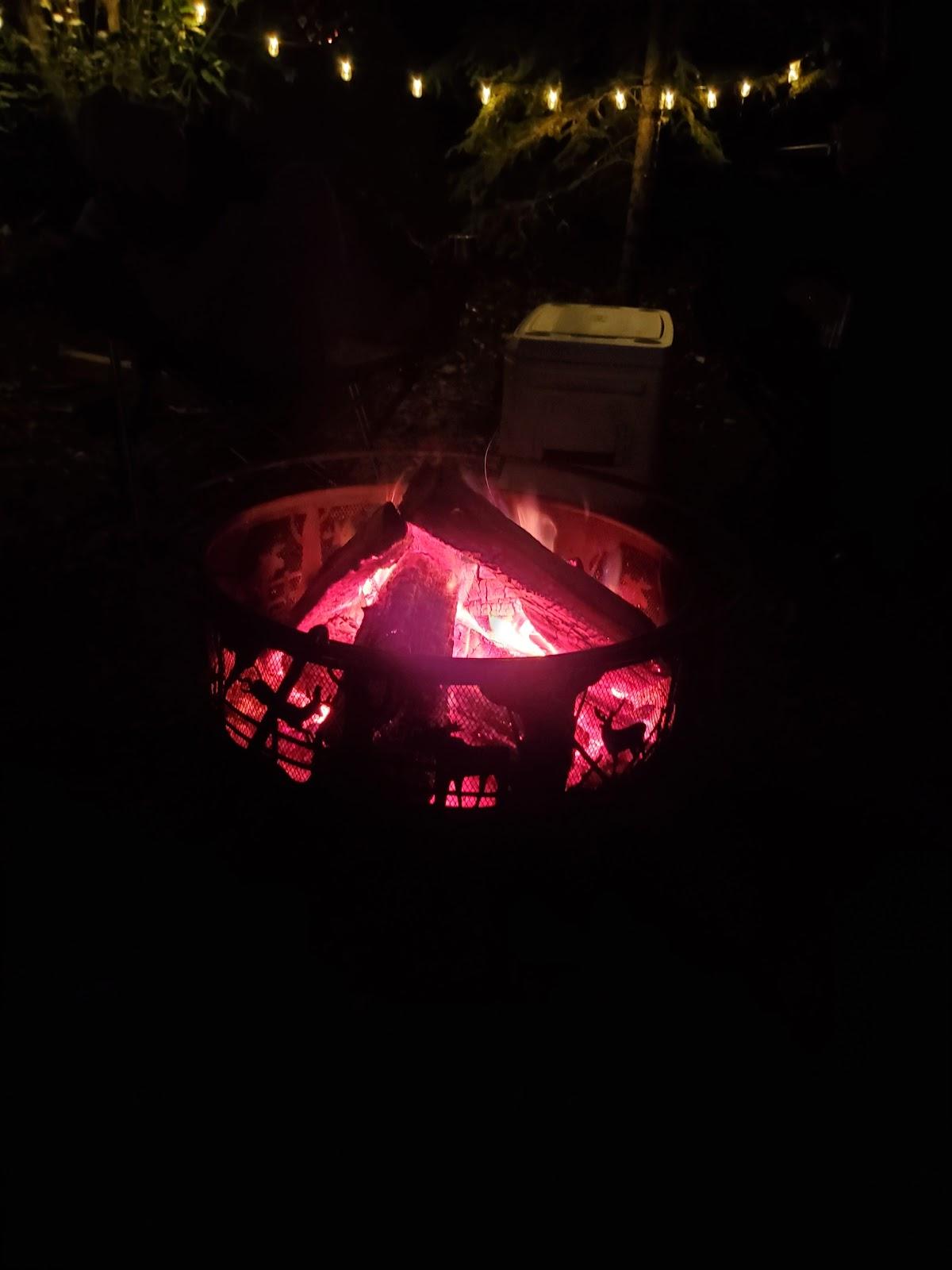 Kokanee Springs RV Park – photo 3