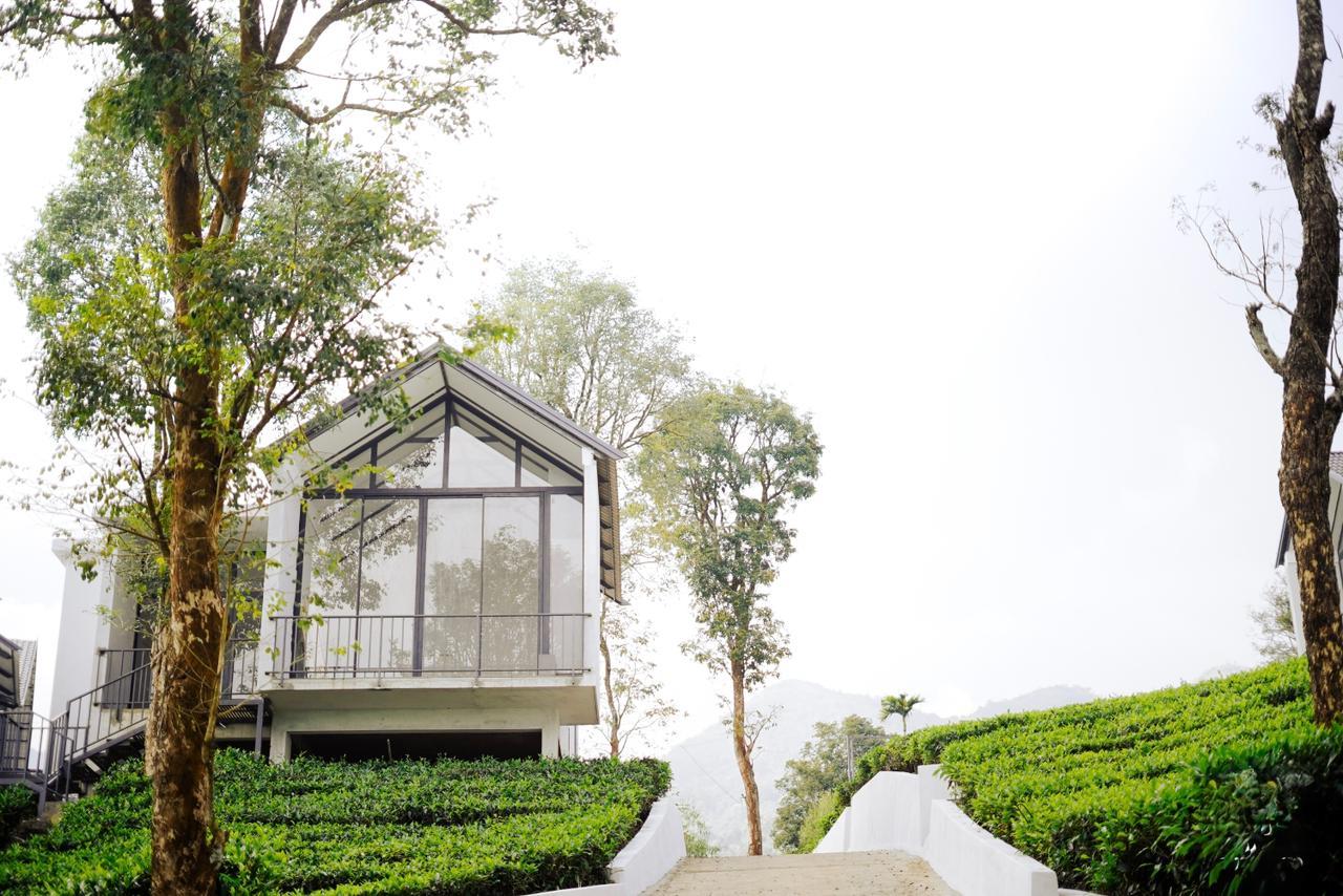 Wayanad De Mount Resort By RAK rooms – photo 3