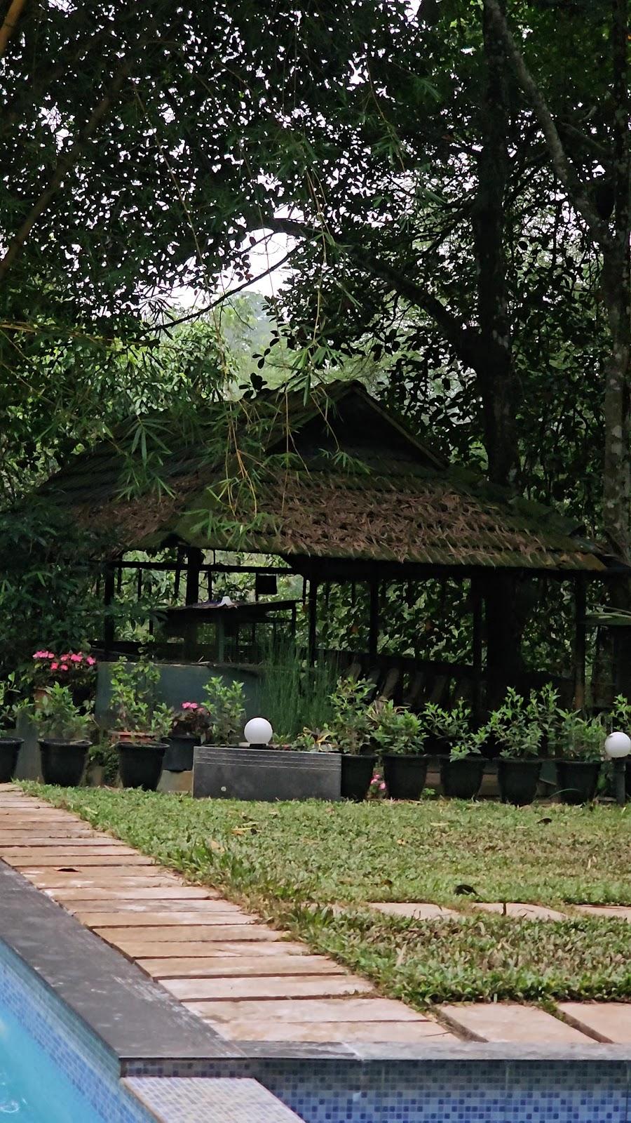 Tree House Wayanad – photo 1