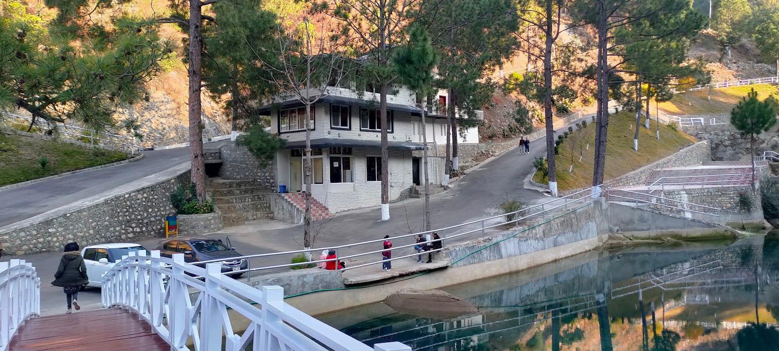Pine Cottages & Villas – photo 1