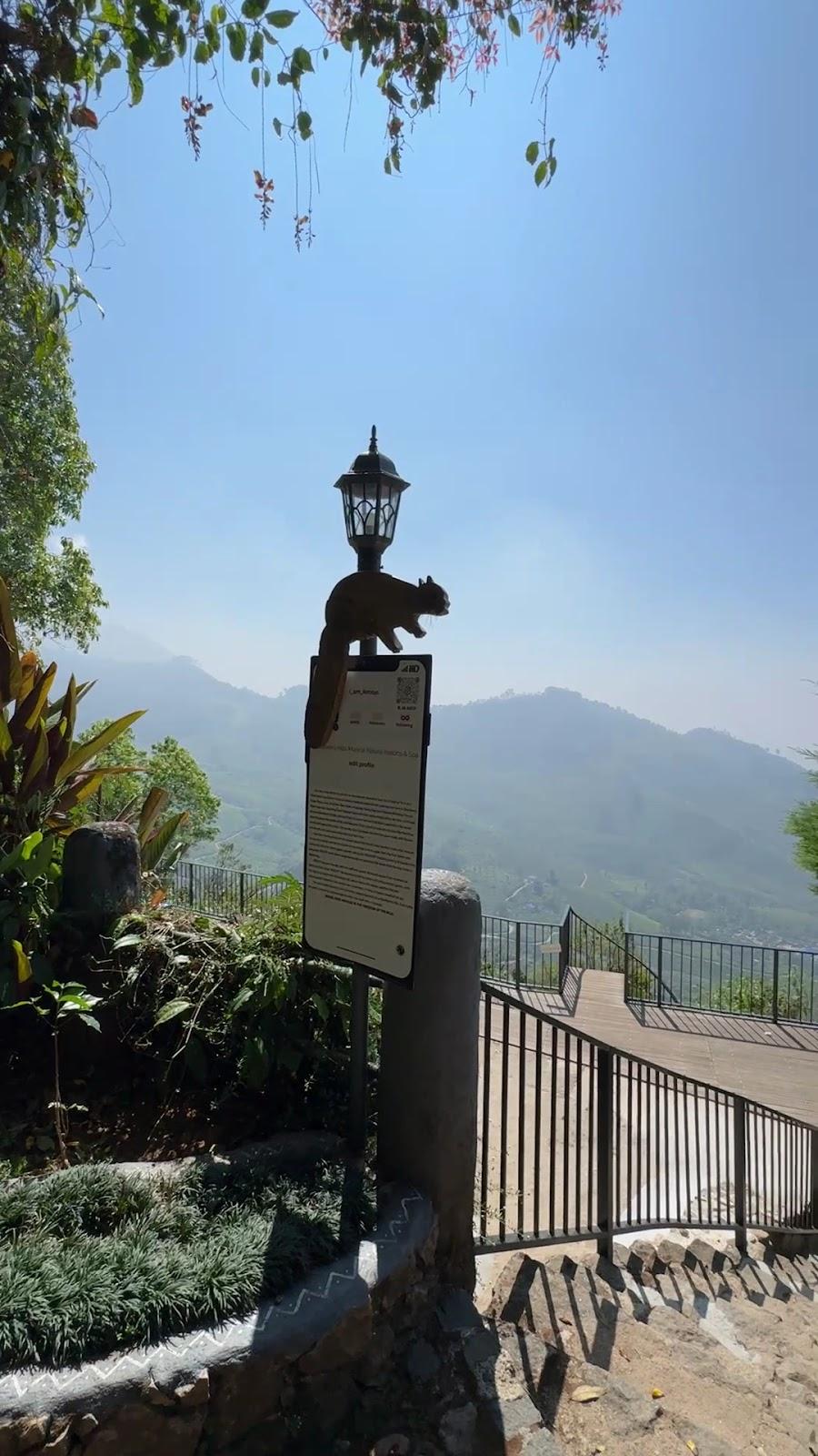 Blackberry Hills Munnar Nature Resort & Spa – photo 2