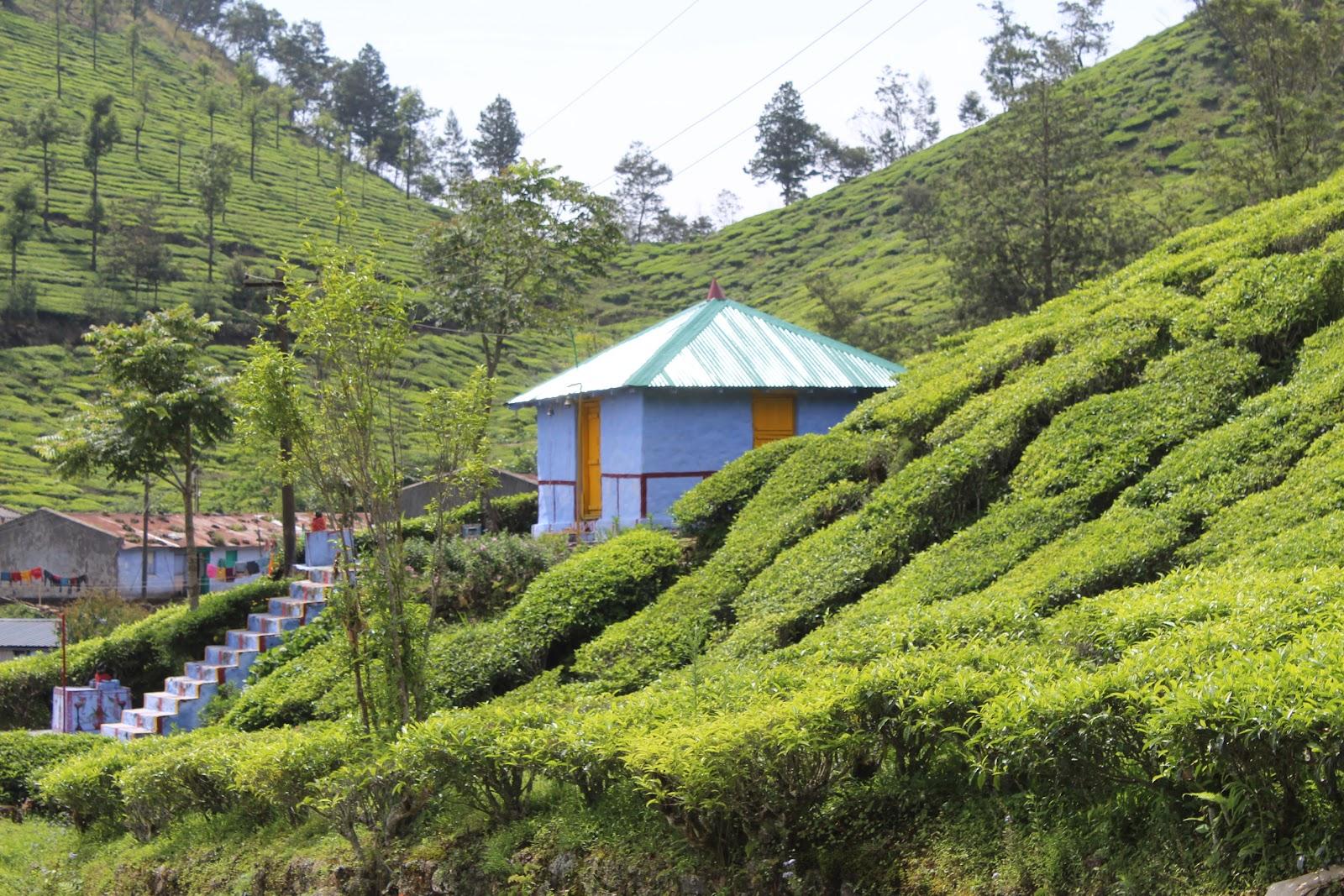 Kolukkumala Mountain Hut – photo 1