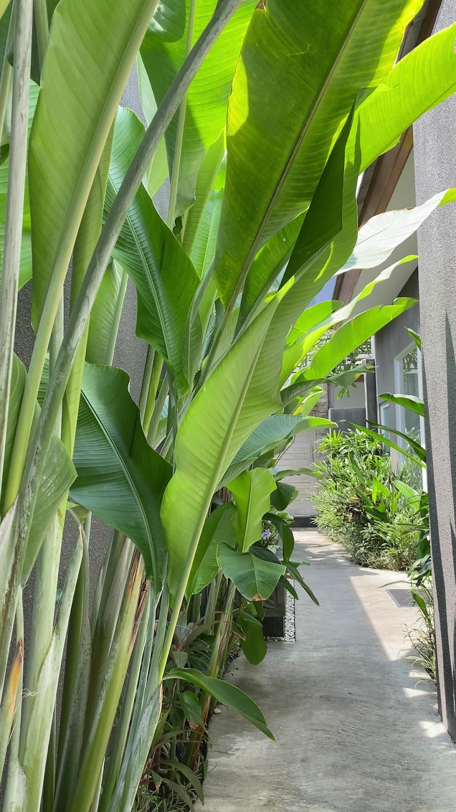 Le Cielo Romantic Villas HONEYMOON VILLA IN SEMINYAK – photo 2