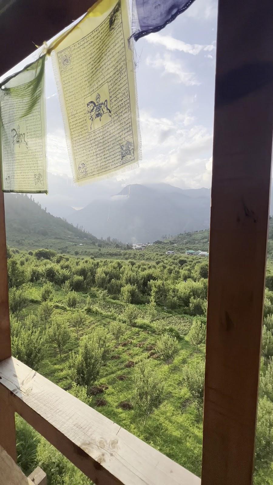 Sukun Hostel – photo 2