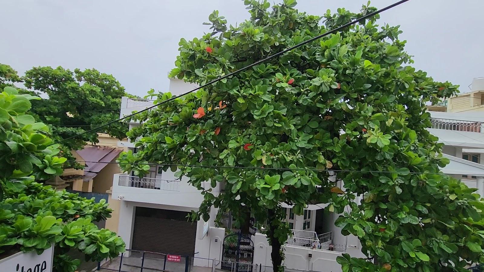 Hotel Coramandal Heritage – photo 2