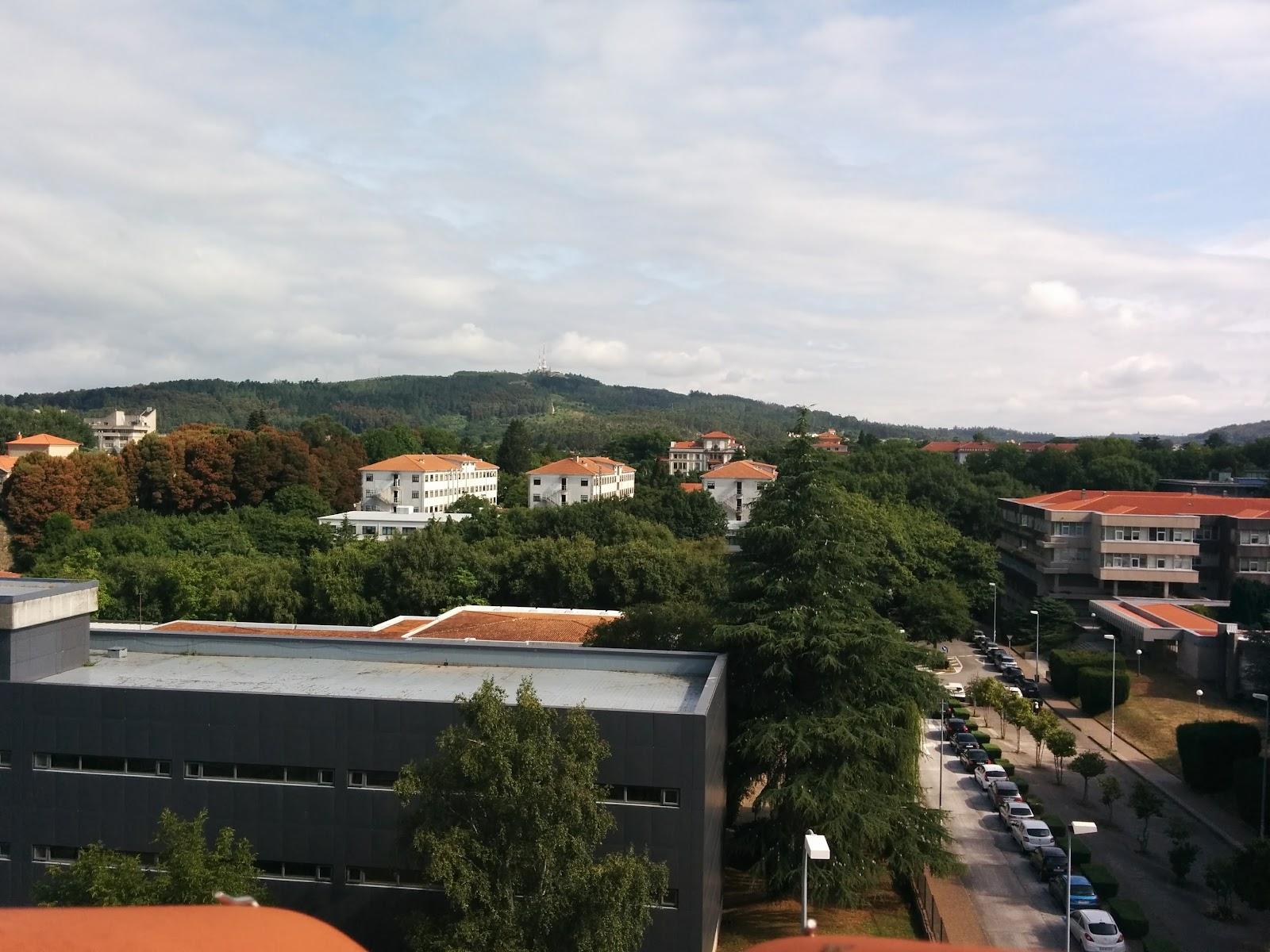 Lux Apartamentos Rosalia – photo 4