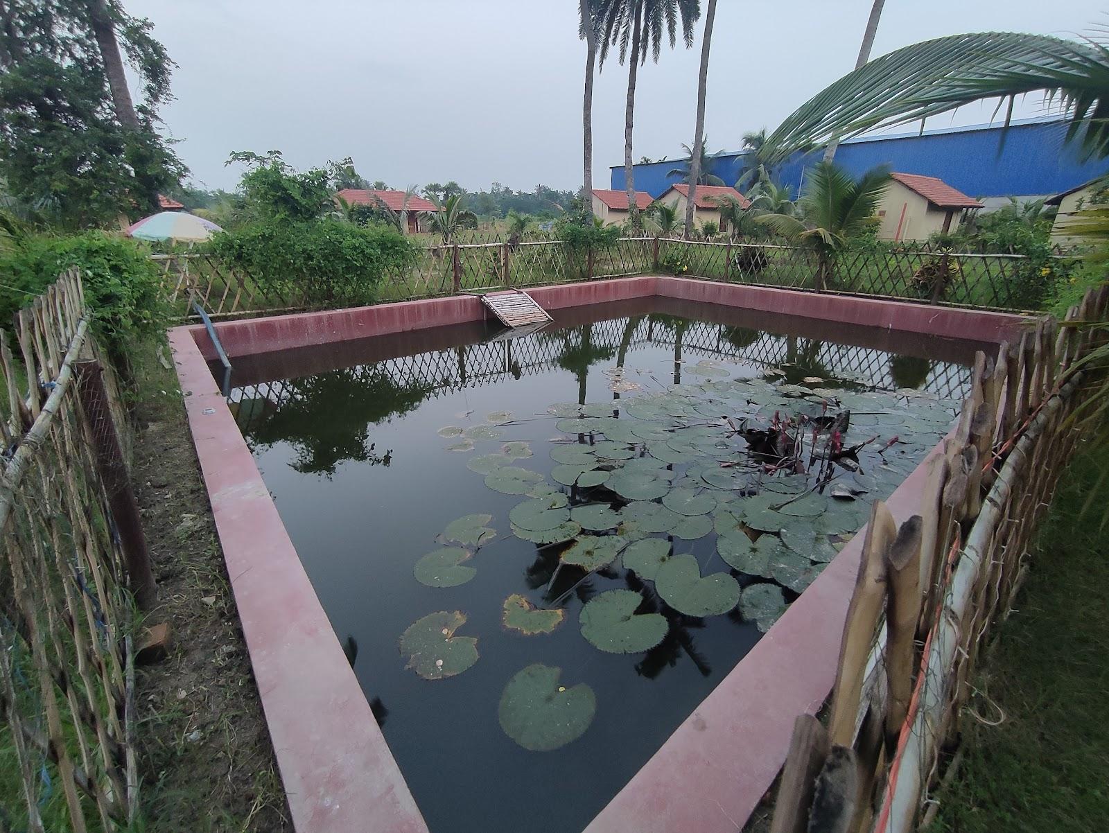 Gram Bangla Retreat (গ্রাম বাংলা রিট্রিট), Dulalpur – photo 3