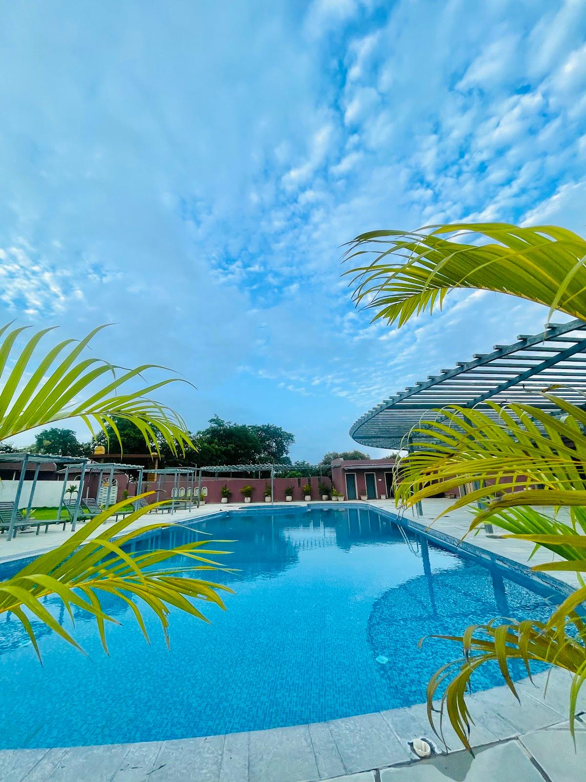 Teakwood - Gir Forest Resort – photo 4