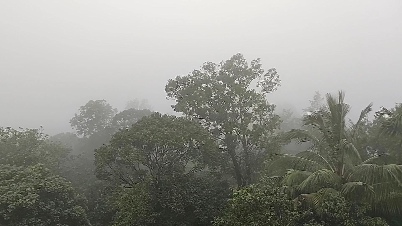 The teadale Vagamon – photo 2